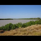 Der South Alligator River